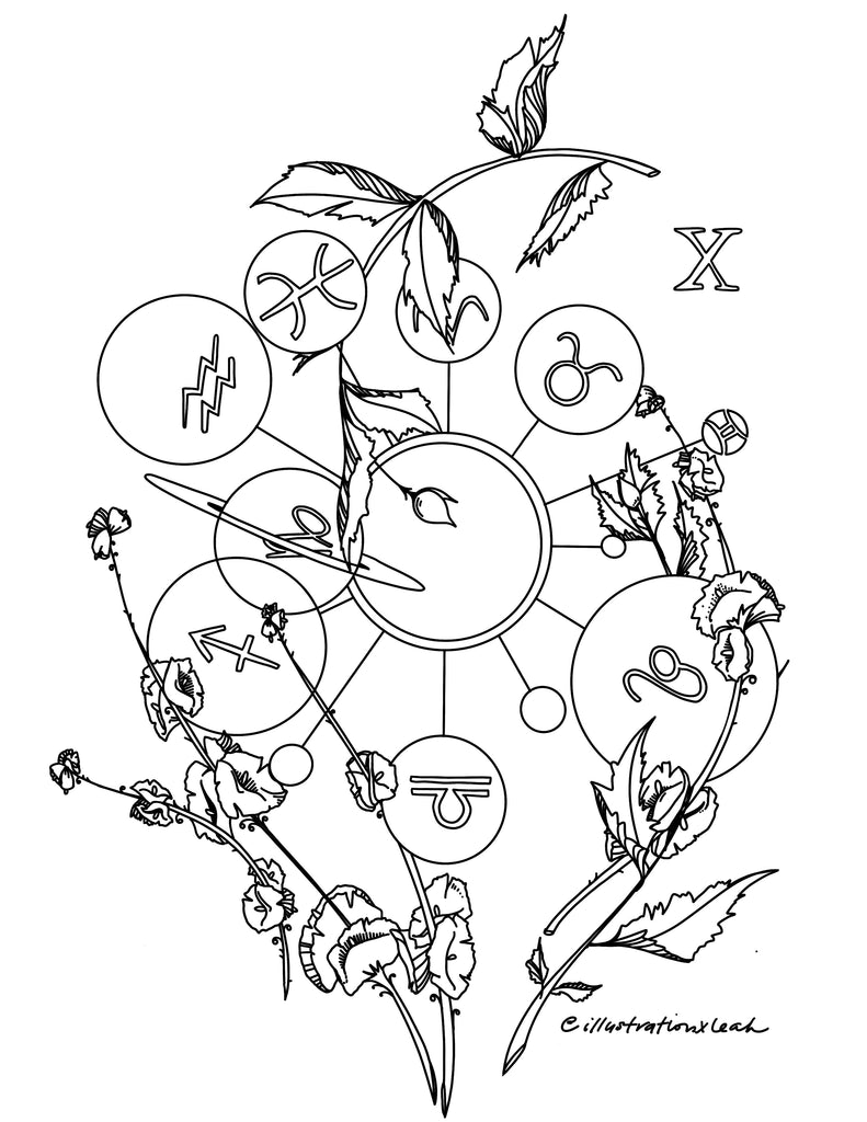 Coloring Page | Wheel of Fortune - The Vindur Shop