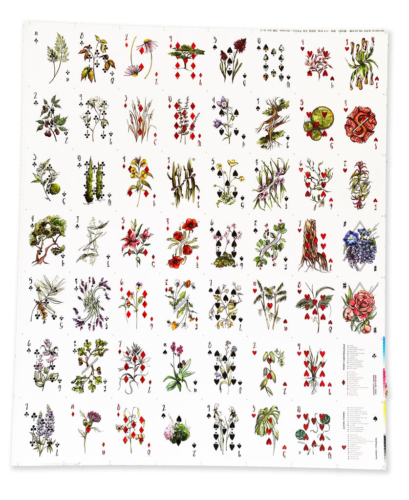 Vaxa Uncut Sheet - The Vindur Shop