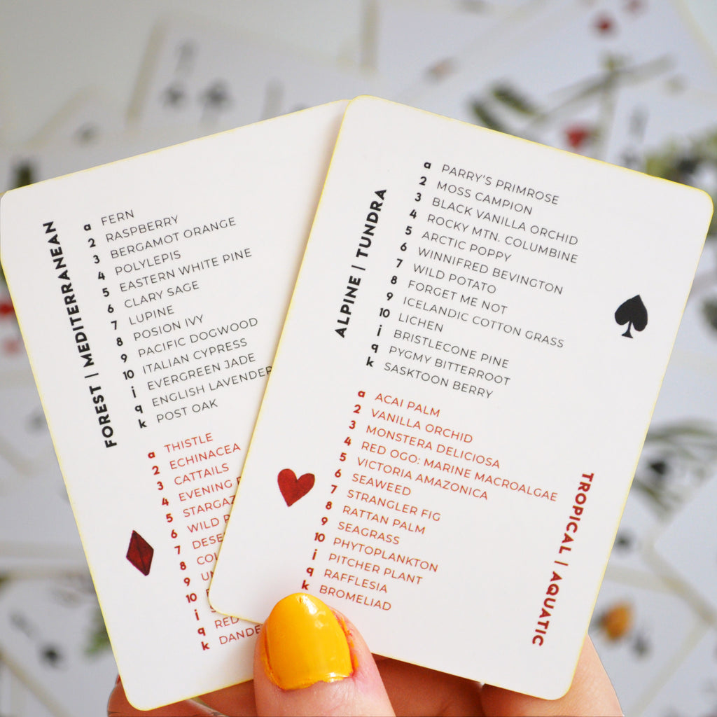 The Vaxa Deck - The Vindur Shop